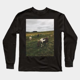 Wild Ponies in England Long Sleeve T-Shirt
